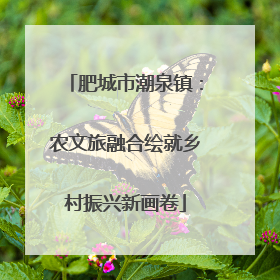 肥城市潮泉镇：农文旅融合绘就乡村振兴新画卷