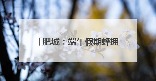 肥城：端午假期蜂拥而至游客量暴增500%，创历史新高