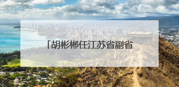 胡彬郴任江苏省副省长、省公安厅厅长