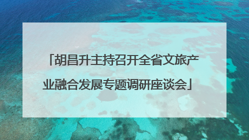 胡昌升主持召开全省文旅产业融合发展专题调研座谈会