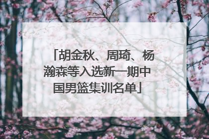 胡金秋、周琦、杨瀚森等入选新一期中国男篮集训名单