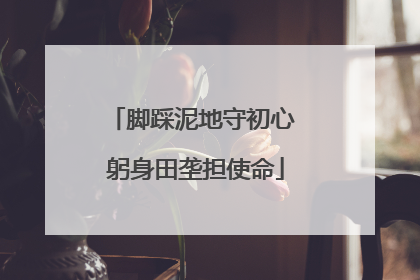 脚踩泥地守初心 躬身田垄担使命