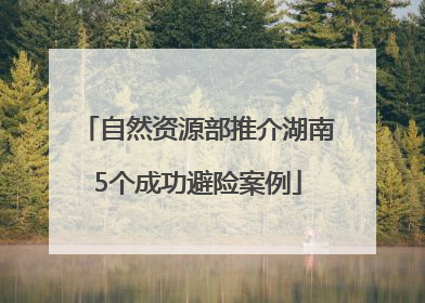 自然资源部推介湖南5个成功避险案例