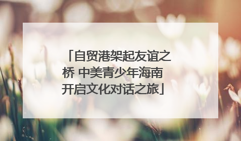 自贸港架起友谊之桥 中美青少年海南开启文化对话之旅