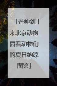 芒种到丨来北京动物园看动物们的夏日纳凉图鉴