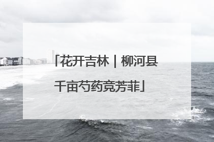花开吉林｜柳河县千亩芍药竞芳菲