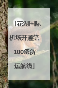花湖国际机场开通第100条货运航线