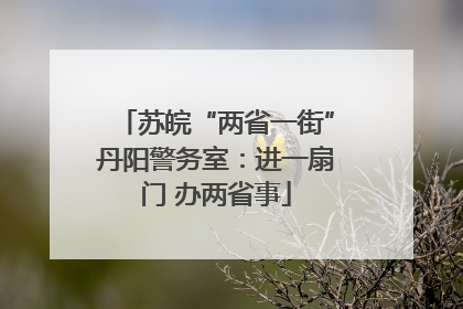 苏皖“两省一街”丹阳警务室：进一扇门 办两省事