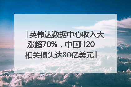英伟达数据中心收入大涨超70%，中国H20相关损失达80亿美元
