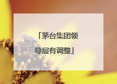 茅台集团领导层有调整