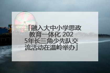 融入大中小学思政教育一体化 2025年长三角少先队交流活动在温岭举办
