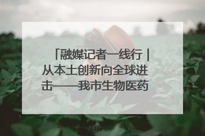 融媒记者一线行｜从本土创新向全球进击——我市生物医药产业破茧突围