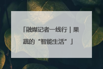 融媒记者一线行｜果蔬的“智能生活”