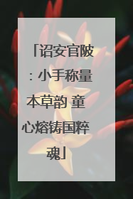 诏安官陂：小手称量本草韵 童心熔铸国粹魂