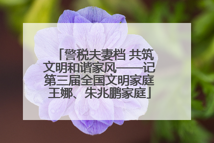 警税夫妻档 共筑文明和谐家风——记第三届全国文明家庭王娜、朱兆鹏家庭