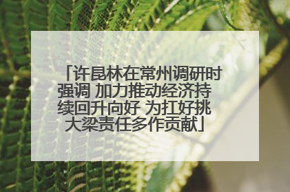 许昆林在常州调研时强调 加力推动经济持续回升向好 为扛好挑大梁责任多作贡献