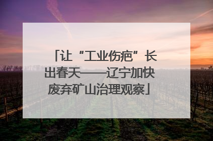 让“工业伤疤”长出春天——辽宁加快废弃矿山治理观察