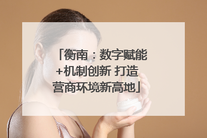 衡南：数字赋能+机制创新 打造营商环境新高地