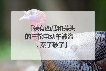 装有西瓜和蒜头的三轮电动车被盗，案子破了