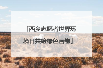西乡志愿者世界环境日共绘绿色画卷
