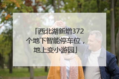 西北湖新增372个地下智能停车位，地上变小游园