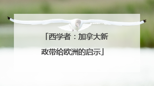 西学者：加拿大新政带给欧洲的启示