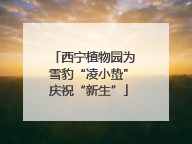 西宁植物园为雪豹“凌小蛰”庆祝“新生”