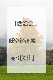 西洽会：低空经济展商引关注