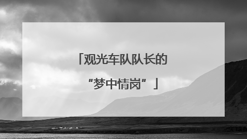 观光车队队长的“梦中情岗”