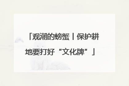 观潮的螃蟹丨保护耕地要打好“文化牌”