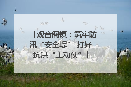 观音阁镇：筑牢防汛“安全堤” 打好抗洪“主动仗”