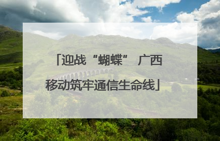 迎战“蝴蝶” 广西移动筑牢通信生命线