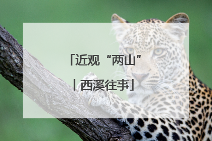 近观“两山”丨西溪往事