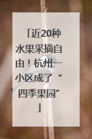 近20种水果采摘自由！杭州一小区成了“四季果园”