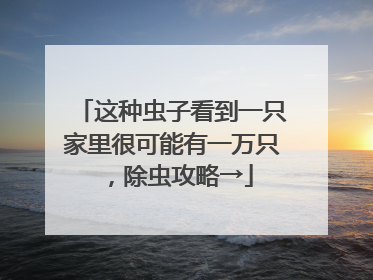 这种虫子看到一只家里很可能有一万只，除虫攻略→