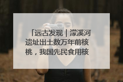 远古发现｜濛溪河遗址出土数万年前核桃，我国先民食用核桃历史大幅提前