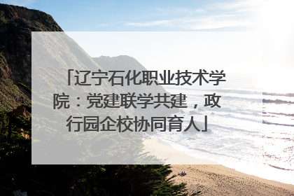 辽宁石化职业技术学院：党建联学共建，政行园企校协同育人