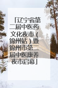 辽宁省第二届中医药文化夜市（锦州站）暨锦州市第二届中医康养夜市启幕