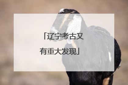 辽宁考古又有重大发现