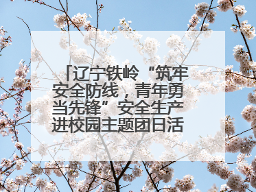 辽宁铁岭“筑牢安全防线，青年勇当先锋”安全生产进校园主题团日活动举行