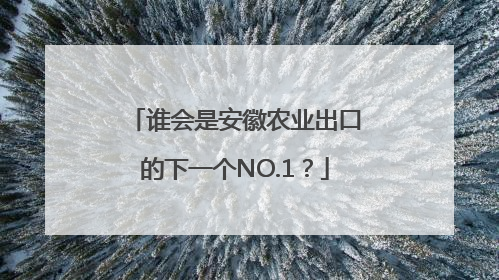 谁会是安徽农业出口的下一个NO.1？