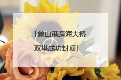 象山港跨海大桥双塔成功封顶