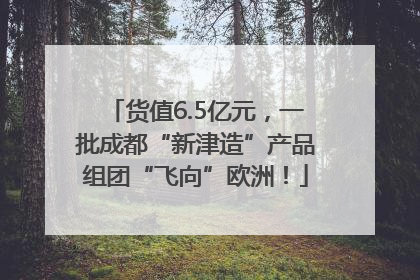 货值6.5亿元，一批成都“新津造”产品组团“飞向”欧洲！