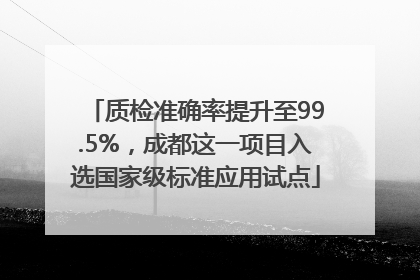 质检准确率提升至99.5%，成都这一项目入选国家级标准应用试点