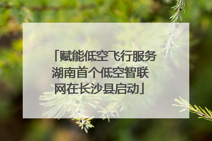 赋能低空飞行服务 湖南首个低空智联网在长沙县启动