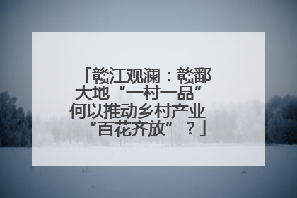 赣江观澜：赣鄱大地“一村一品”何以推动乡村产业“百花齐放”？
