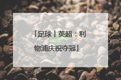 足球丨英超：利物浦庆祝夺冠