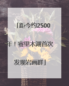 距今约2500年！赛里木湖首次发现岩画群