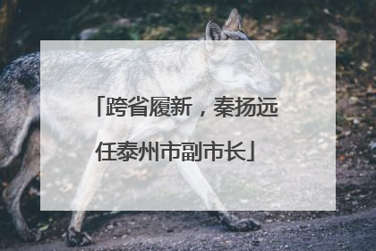 跨省履新，秦扬远任泰州市副市长