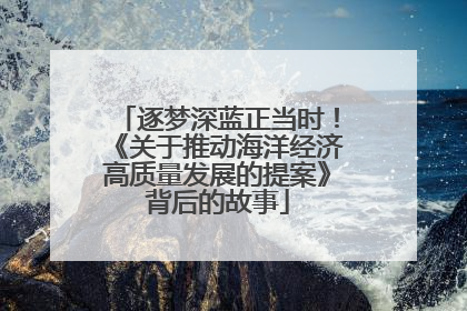 逐梦深蓝正当时！《关于推动海洋经济高质量发展的提案》背后的故事